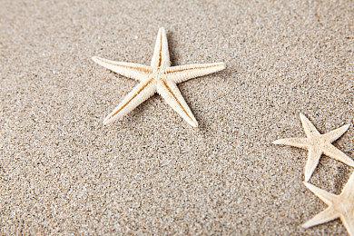 2024年赛事奖金最高的十大游戏 《DOTA2》依旧第一